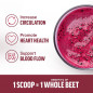 FORCE FACTOR TOTAL BEETS POWDER (90 SERV)