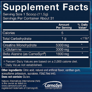 BODYTECH CREATINE & GLUTAMINE FRUIT PUNCH 12 OZ